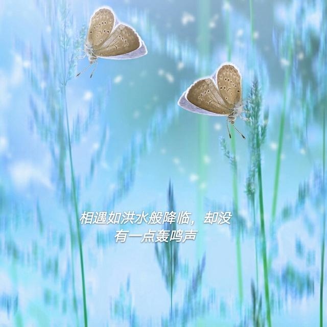 射手座属蛇女的魅力，属蛇天蝎座男