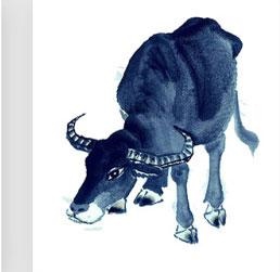 十二生肖六冲三合表，十二生肖三合和六个合生肖是什么