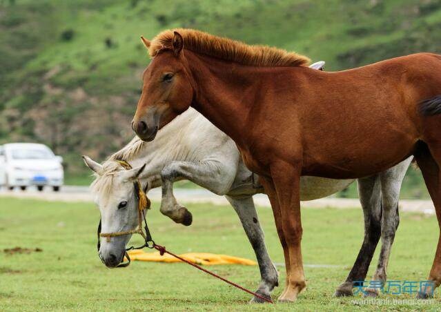 978年属马一生有几次婚姻，1978年属马2022