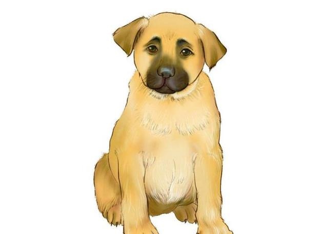 属狗人的贵人属相，2022 年属狗会有牢狱之灾吗