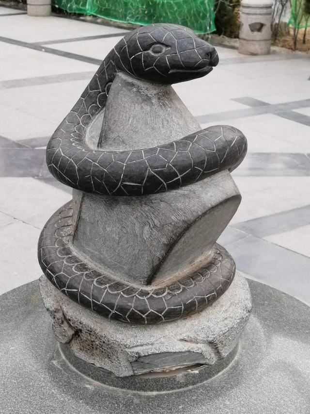 十二生肖文武肖怎么分,文肖和武肖是什么生肖