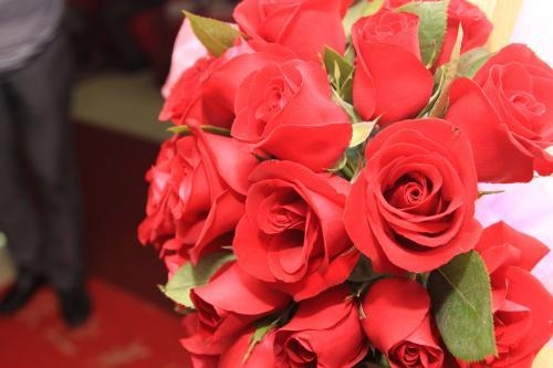 0年马什么时候动婚，属马1978年44走大运"