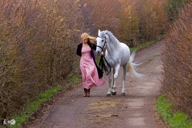 978马女婚姻状况,1978年属马女人缺点"
