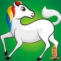 女属马和男属马合不合，属马女与属马的女和不和