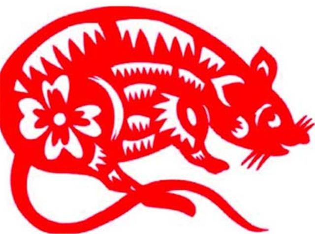 022年婚姻里变心的生肖，能让男人后悔的生肖女"