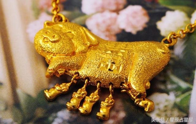 属猪人最苦命和更好命，属猪人的更佳婚配