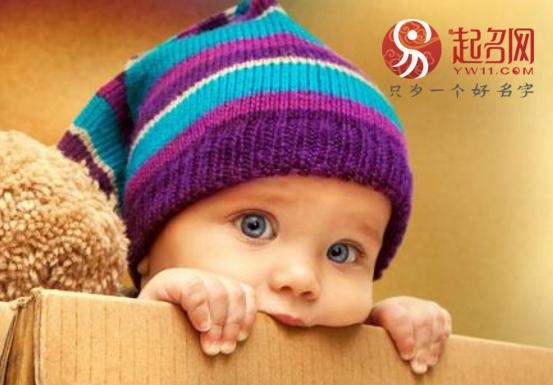 982年属狗禁忌颜色，1982属狗2022