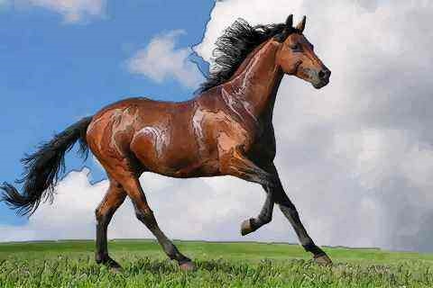 属马女跟什么属相配，90马男88龙女属相婚配表