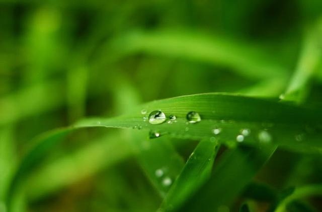 8年属马人什么时候转运，属马1978年44走大运"