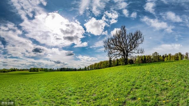 今日运势查询非常运势 ，今日运势八字查询非常运势