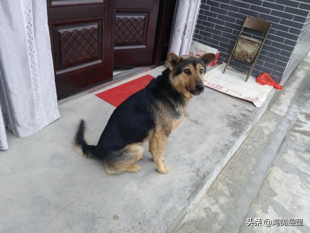 3年的鸡过了28岁会越来越好，93年属鸡的为什么晚婚"