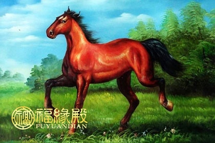 属马的性格怎么样,属狗的人性格和优缺点