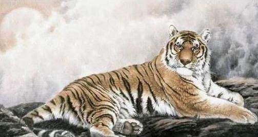 属虎女和属猴男谁克谁，男的属猴女的属虎合适吗