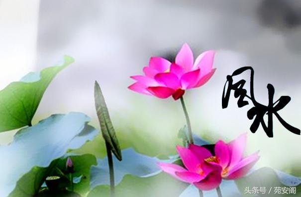 结婚冲太岁几年不孕，结婚冲了太岁一直没有孩子