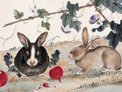 天上火命的更佳配偶,天上火命的女人