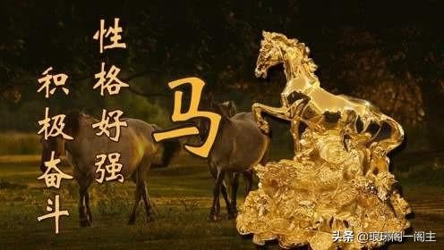 为什么马是午马，午马都是靠自强