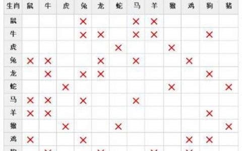 属马和什么相配，属马的配什么更好