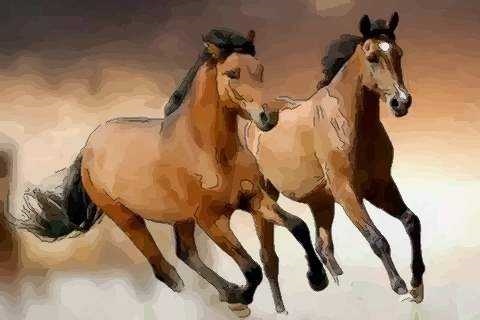 4年属马的寿命长吗，54年属马人终身寿命"