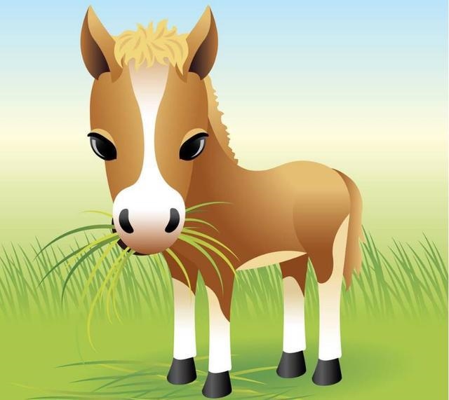 2岁的属马是什么命，90年属马32岁行大运"