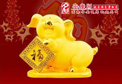 属猪的今年运势,十二生肖与人生运势