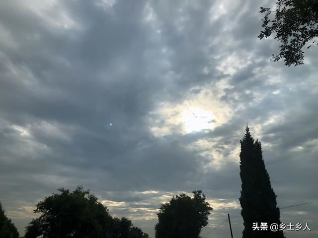 午年午月午日午时的命好不好，出生午年午时是怎样的