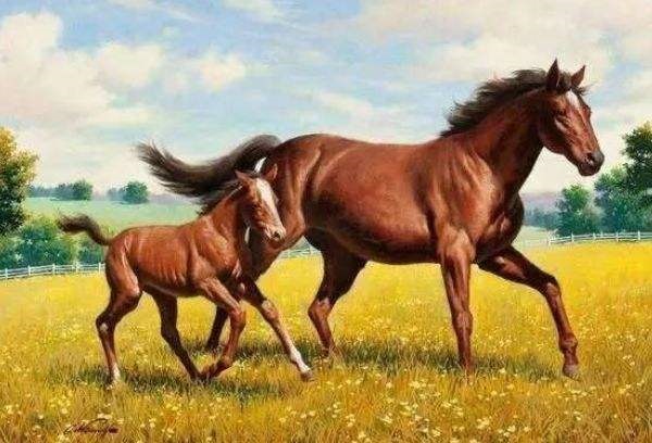 今年属马人的运势怎么样女，78年属马财运