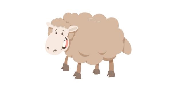 7年的羊今年下半年财运,67年属羊女54岁后命运"