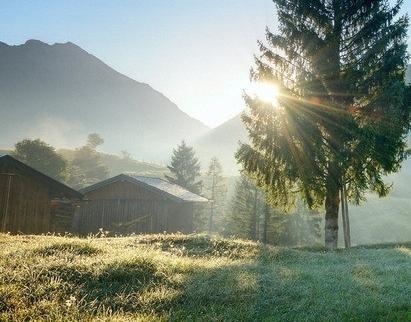明天特吉的生肖运势，必看十二生肖今日运势
