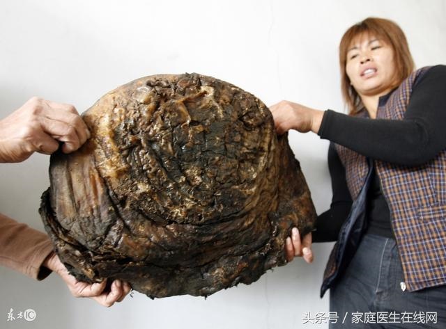 太岁有什么作用和功效，太岁的作用是什么