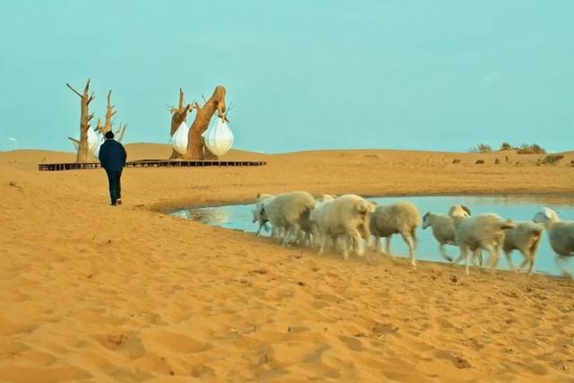 0年代属马的今年多少岁，生肖马今年几岁"