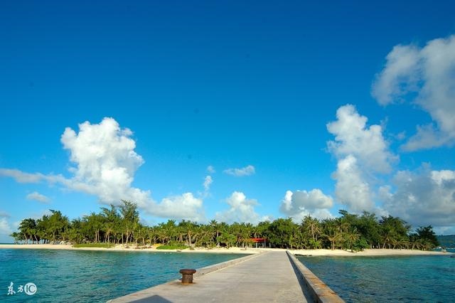 3年属牛2022年有三喜，2022年属牛人的全年运势"