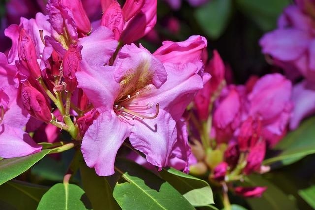 缘分很深的生肖配对，缘分配对测姻缘