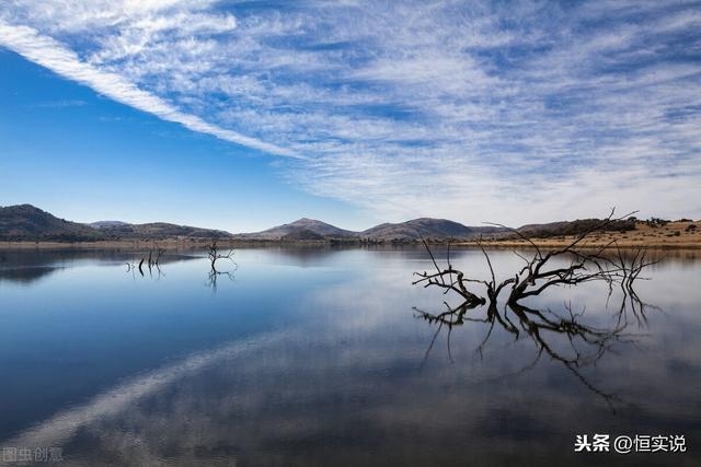 属兔女人最怕什么，什么阻碍了属兔人的进步