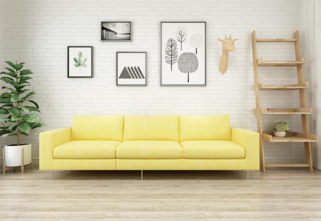 属龙的三大忌配生肖，风水大忌门口放鞋柜