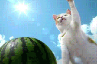 换大运后像变了个人，转运之年必有大变