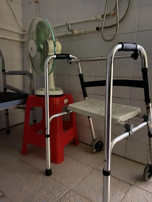 鸡和牛为什么老是吵架，鸡和牛的友情