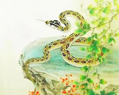 3年的猪和90年的马合不合，1990马男配1983猪女"