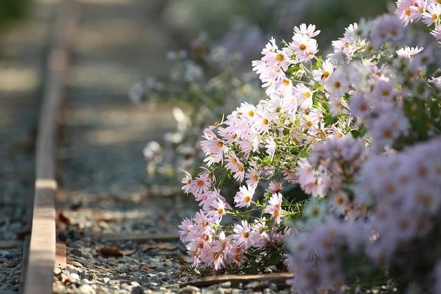 022年最旺的星座，2022运势好到爆的星座"