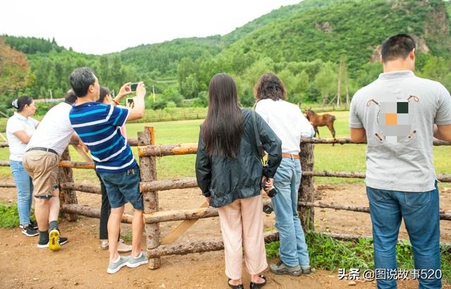 牛跟马属相合不合亲人，马和牛在一起有财运吗