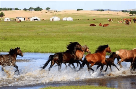 0年马和02年马相配吗,1990马和2002马"