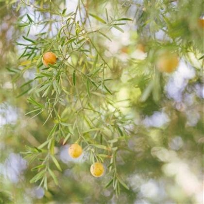 属马的男追女生的表现，属马男人跟女人暧昧