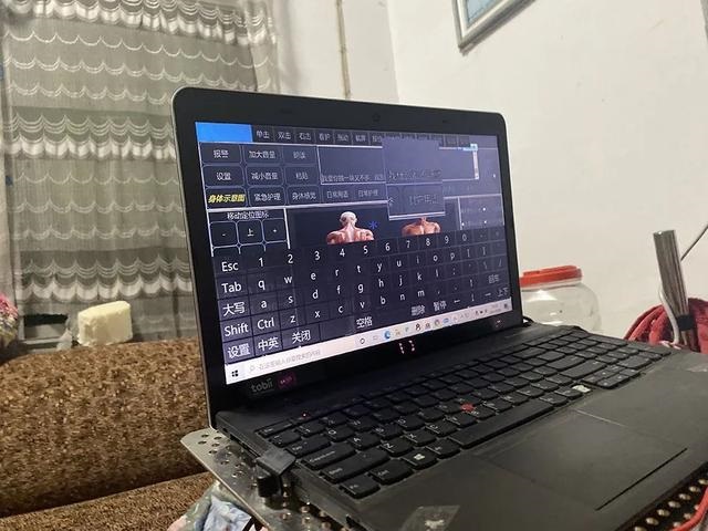 鸡和牛为什么老是吵架，鸡和牛的友情