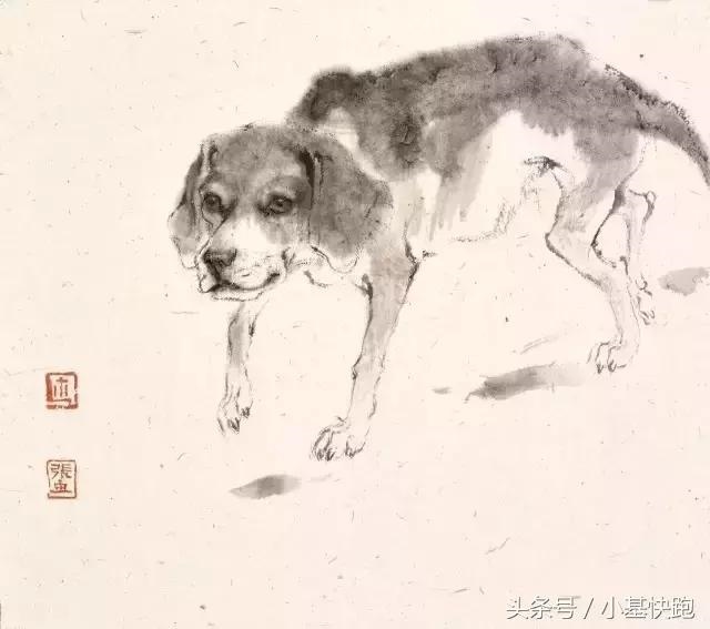 属狗的永久幸运颜色，最旺属狗人的5个数字