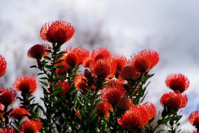 01几年是马年，201几年是蛇年"