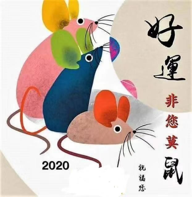 01几年是马年，201几年是蛇年"