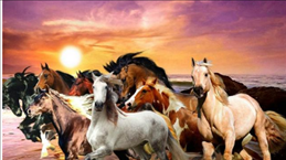 属马的和什么属相的不合,生肖马2022 年运势大全