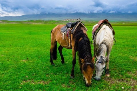 978年属马2022年运势，1978年属马2022