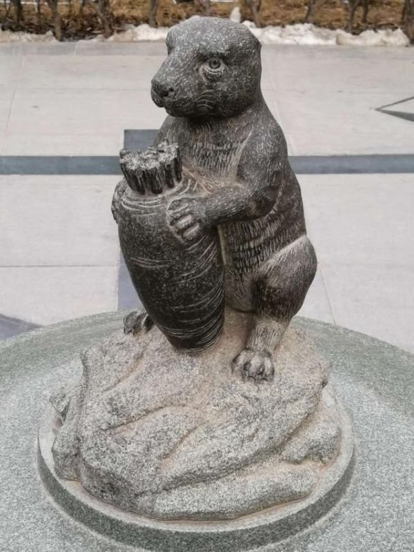 十二生肖文武肖怎么分,文肖和武肖是什么生肖