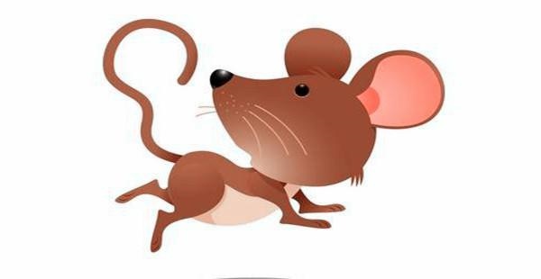 属鼠人2023年运势及运程，鼠2022年运势完整版