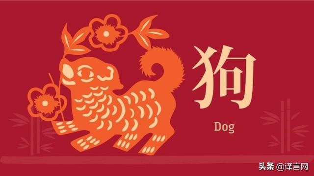 十二生肖每月运势免费，今日运势查询